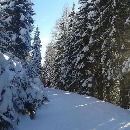 Hutegger Apartment *