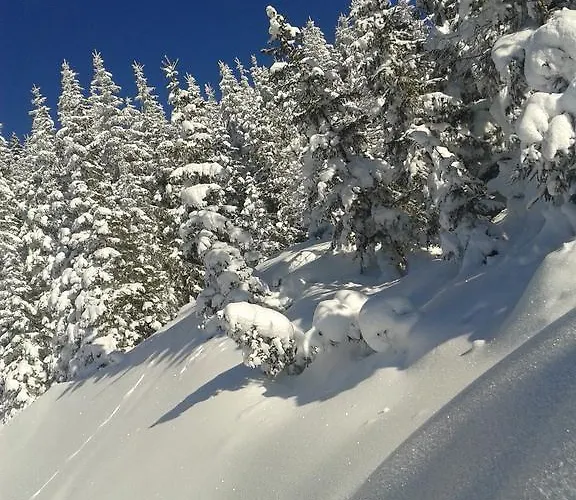 Apartment Hutegger *