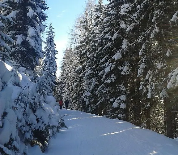 Hutegger Appartement *